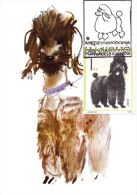 PO 11 - Maximum Card - Dog - Breed Poodle - Cartoline Maximum