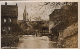 Deutschland - Postcard ( Original Photo) Unused  - Paderborn - Paderausfluss - 2/scans - Paderborn