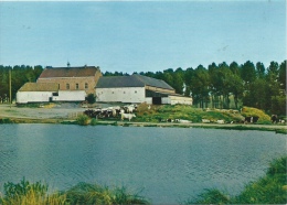 Horrues - Etang De La Ferme De L'Eclatière - Soignies