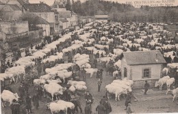 CHATILLON EN BAZOIS - UNE FOIRE AU MOIS DE MARS - SUPERBE CARTE TRES TRES ANIMEE - NOMBREUSES VACHES PROMISES A L'ACHAT - Chatillon En Bazois