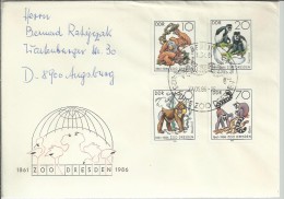 ALEMANIA DDR CC BERLIN ZOO DE DRESDEN FAUNA MAMIFERO SIMIOS MONOS - Gorilles