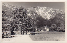 AK - Puchberg Am Schneeberg - Schneeberggebiet