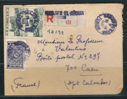 TUNISIE 1949 N° Usages Courants Obl. S/Lettre Recommandée - Storia Postale
