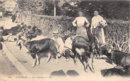 Lourdes      65      Les Chèvres - Lourdes