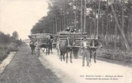 Landes     40       Attelages De Mules Transportant Des Poteaux De Mine - Andere & Zonder Classificatie