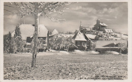 AK Mückenberg Mückentürmchen Komari Vizka Schreiners Gasthof Winter A Graupen Krupka Zinnwald Cinovec Voitsdorf Eichwald - Sudeten