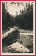 Foto-AK ´Söllbachtal' Bei Bad Wiessee (LK Miesbach) ~ 1960 - Bad Wiessee