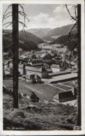 Deutschland - Postcard ( Original Photo ) Circulated In 1950 - St.Blasien  - 2/scans - St. Blasien