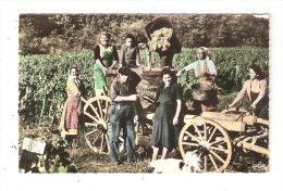 CPA  En Vendanges : Groupe De Vendangeurs - Colorisée - Vines