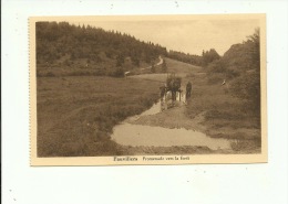 Fauvillers Promenade Vers La Forêt - Fauvillers