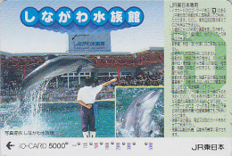 Carte Prépayée Japon - DAUPHIN / Spectacle - DOLPHIN SHOW Japan Prepaid Card - DELFIN Karte - 583 - Dolfijnen