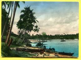 Tanzania --  Greceful Palms Facing The Sea - East African Coast -- Ed . Peeras Curioshop à Dar Es Salaam - Tanzanie