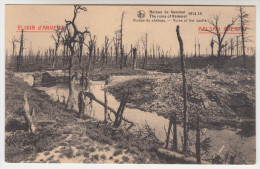 Ruines De Kemmel, Ruines Du Château (pk22231) - Heuvelland