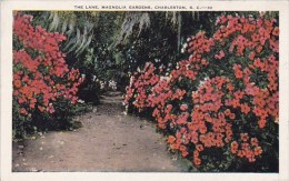 The Lane Magnolia Gardens Charleston South Carolina - Charleston