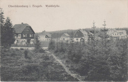 AK Waldidylle Gasthof Erzgebirgsbaude Bei Oberbärenburg Falkenhain Schmiedeberg Dönschten Johnsbach Altenberg Glashütte - Schmiedeberg (Erzgeb.)