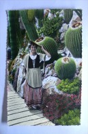 Jardin Exotique De Monaco - Echinocactus Grusonii - Jardin Exotique