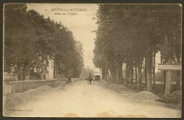 BRIOUX Sur BOUTONNE Allée Des Tilleuls (Besson) Deux Sèvres (79) - Brioux Sur Boutonne