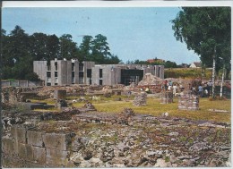 Bavay-Bavai-Site Archéologique-Fouilles Et Musée-(CPM) . - Bavay