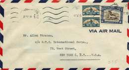 1948  Air Mail Letter To USA =  Bilingual Pair SG 124 Rouletted Between,  120 Afrikaans Single - Lettres & Documents