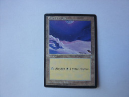 Magic The Gathering Terrain Plaine Enneigée - Other & Unclassified