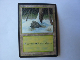 Magic The Gathering Terrain Forêt Enneigée - Other & Unclassified