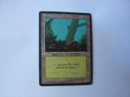 Magic The Gathering Terrain Forêt - Other & Unclassified