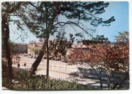 - 11 B - AVIGNON - (Vaucluse ), Place Du Palais Au Printemps, Grand Format, Peu Courante, TBE, Scans.: - Avignon