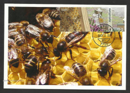 Portugal Apiculture Abeille Abeilles Miel Carte Maximum 2013 Beekeeping Bee Bees Honey Maxicard - Honeybees