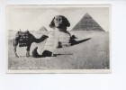 Kairo, Prayer Near The Great Sphinx - Guiza