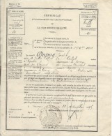 Certificat De Non-disponibilité Bureau De Recrutement De Limoges/Tulle/Corréze/France/1895    DIP23 - Diploma & School Reports