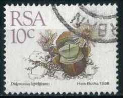 South Africa 1988 Mi 747 Plant | Succulents, Didymaotus Lapidiformis - Used Stamps