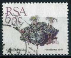 South Africa 1988 Mi 749 Cactusses, Plants | Succulents, Conophytum Mundum - Used Stamps