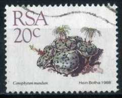 South Africa 1988 Mi 749 Plant | Succulents, Conophytum Mundum - Oblitérés