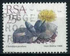 South Africa 1988 Mi 750 Plant | Succulents, Cheiridopsis Peculiaris - Used Stamps
