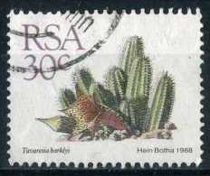 South Africa 1988 Mi 751 Cactusses, Plants | Succulents, Tavaresia Barklyi - Used Stamps