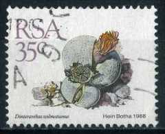 South Africa 1988 Mi 752 Cactusses, Plants | Succulents, Dinteranthus Wilmotianus - Used Stamps