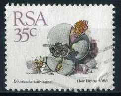 South Africa 1988 Mi 752 Plant | Succulents, Dinteranthus Wilmotianus - Used Stamps