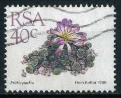 South Africa 1988 Mi 753 Cactusses, Plants | Succulents, Frithia Pulchra - Used Stamps