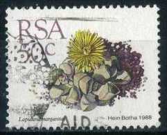 South Africa 1988 Mi 754 Plant | Succulents, Lapidaria Margaretae - Used Stamps