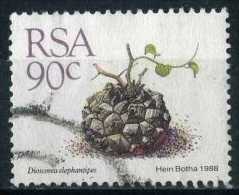 South Africa 1988 Mi 755 Cactusses, Plants | Succulents, Dioscorea Elephantipes - Used Stamps