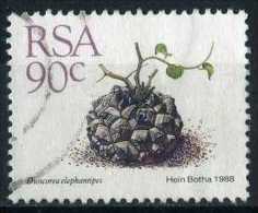 South Africa 1988 Mi 755 Plant | Succulents, Dioscorea Elephantipes - Used Stamps