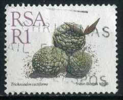 South Africa 1988 Mi 756 Cactusses, Plants | Succulents, Trichocaulon Cactiforme - Used Stamps