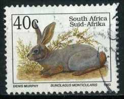 South Africa 1993 Mi 895 Rabbits, Bunolagus Monticularis - Oblitérés