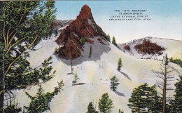The Big Needles At Snow Basin Cache National Forest Near Salt Lake City Utah - Salt Lake City