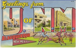 Albuquerque New Mexico, Large Letter Greetings University Of N.M. Footbal Scene, C1930s Vintage Curteich Linen Postcard - Albuquerque