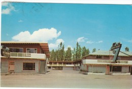 West Yellowsont Montana, Three Bear Lodge & Restaurant, Motel, C1960s Vintage Postcard - Altri & Non Classificati