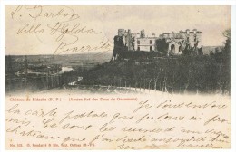BIDACHE - Château De Bidache - Pondarré 103 - Précurseur, écrite Et Circulée 1902 - Tbe - Bidache
