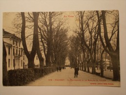 Carte Postale - MAZAMET (81) - La Promenade Et La Banque De France (156/1000) - Mazamet