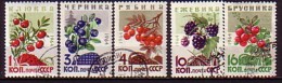 RUSSIA / RUSSIE - 1964 - Baies  - 5v Obl. - Gebruikt