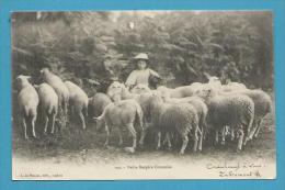 CPA 100 Petite Bergère Creusoise Et Ses Moutons - Sonstige & Ohne Zuordnung